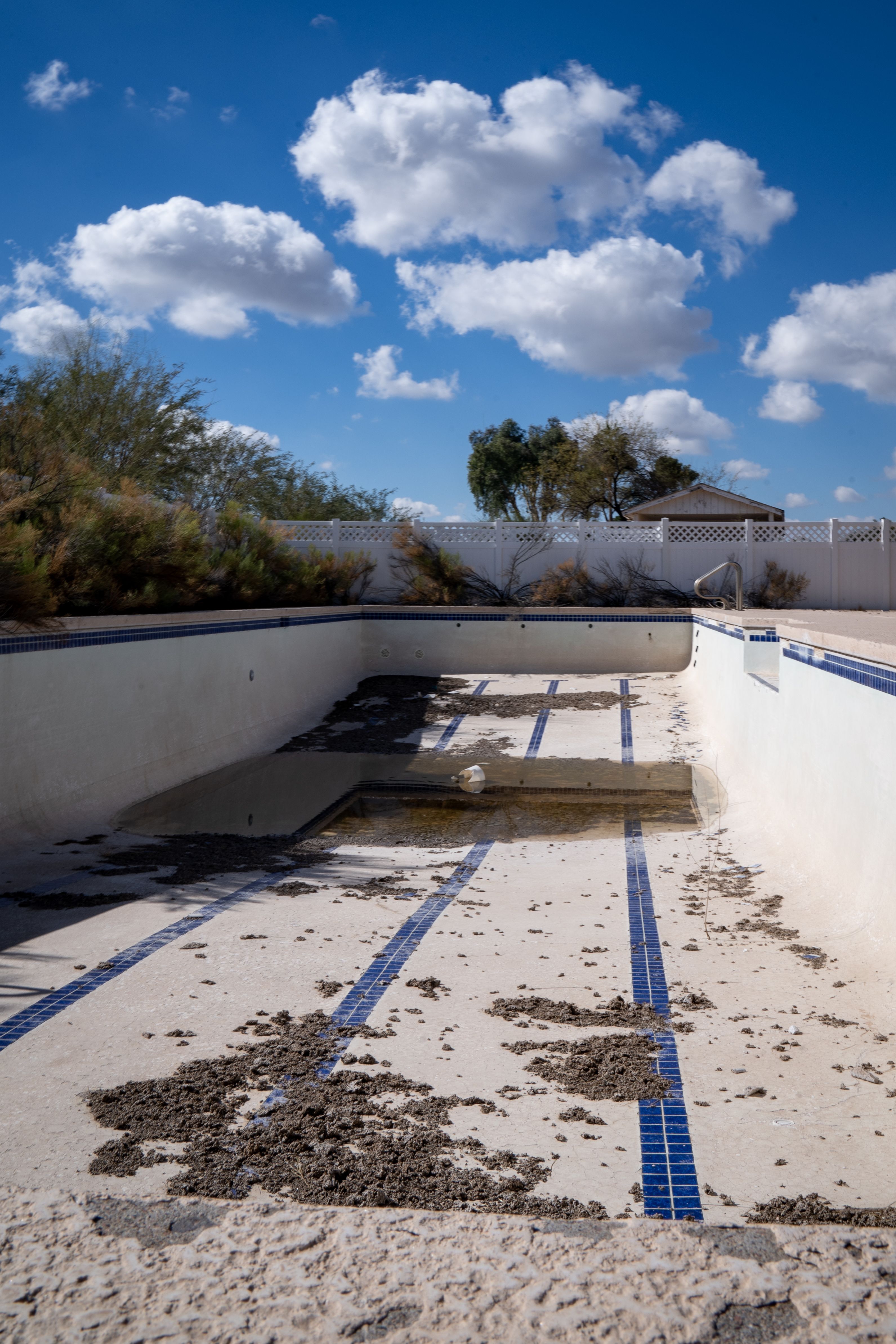 Sonoran Pest Control team serving Surprise, AZ homes